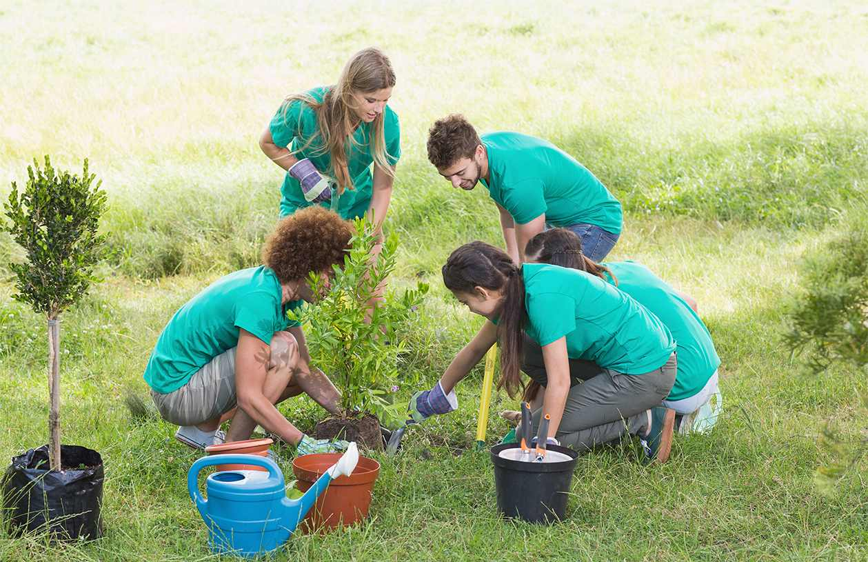 4 teens plant a tree in a grassy field on a bright summer day